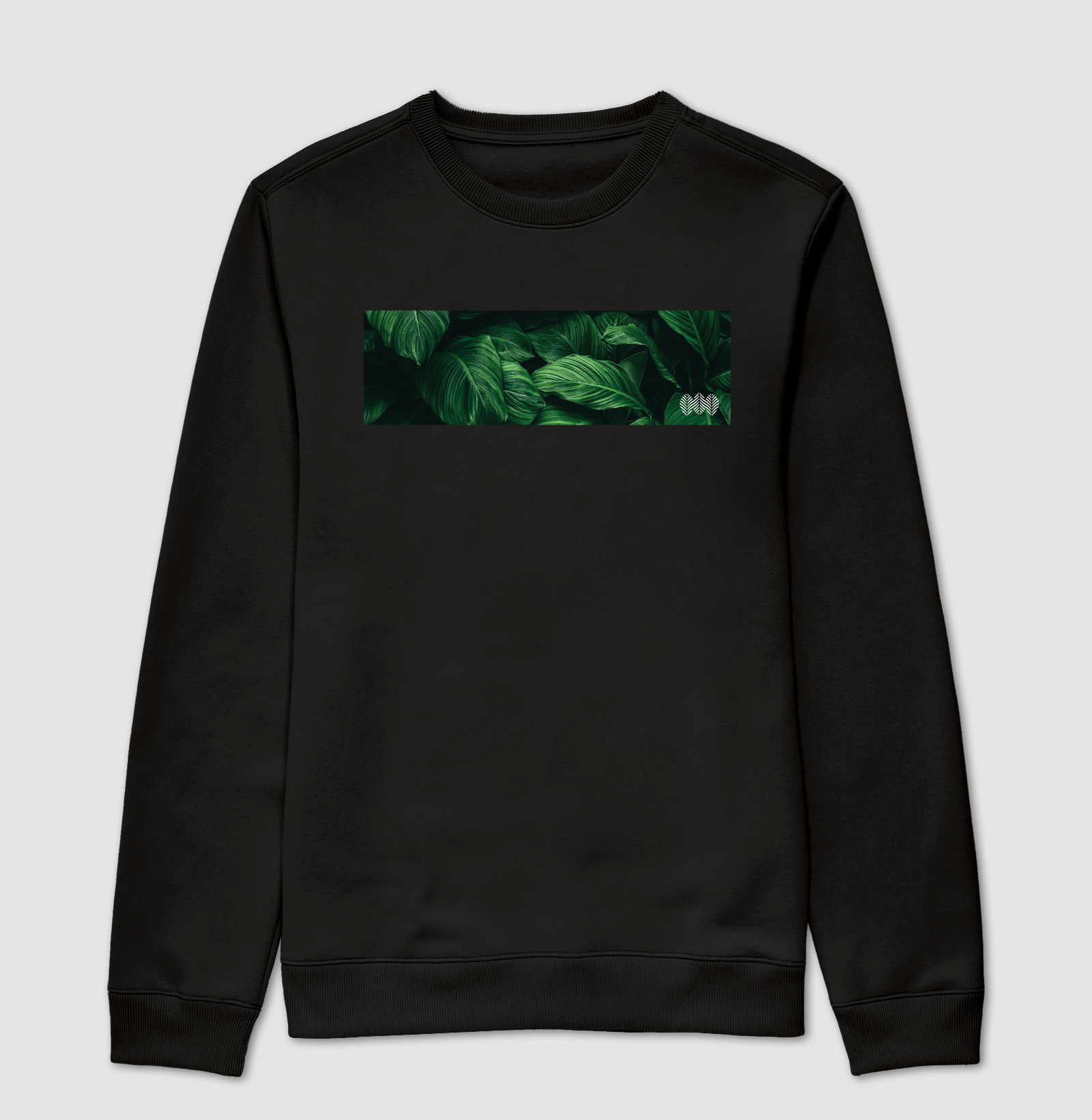 Rakau - Concept 2