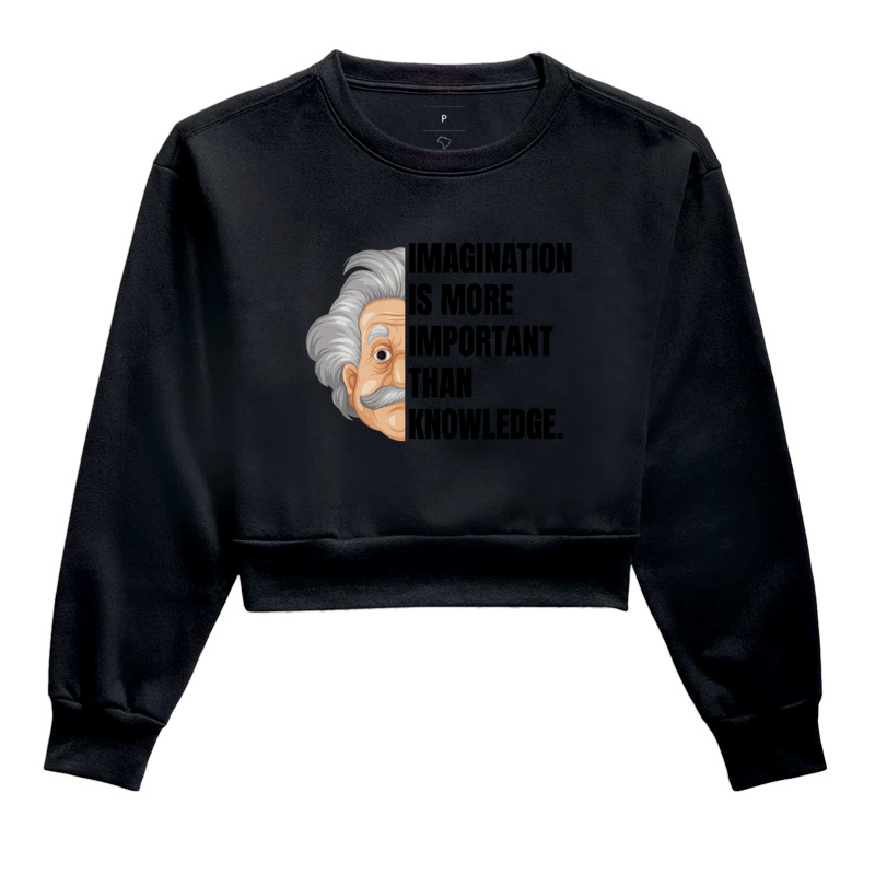 Imagination Is More Important Than Knowledge