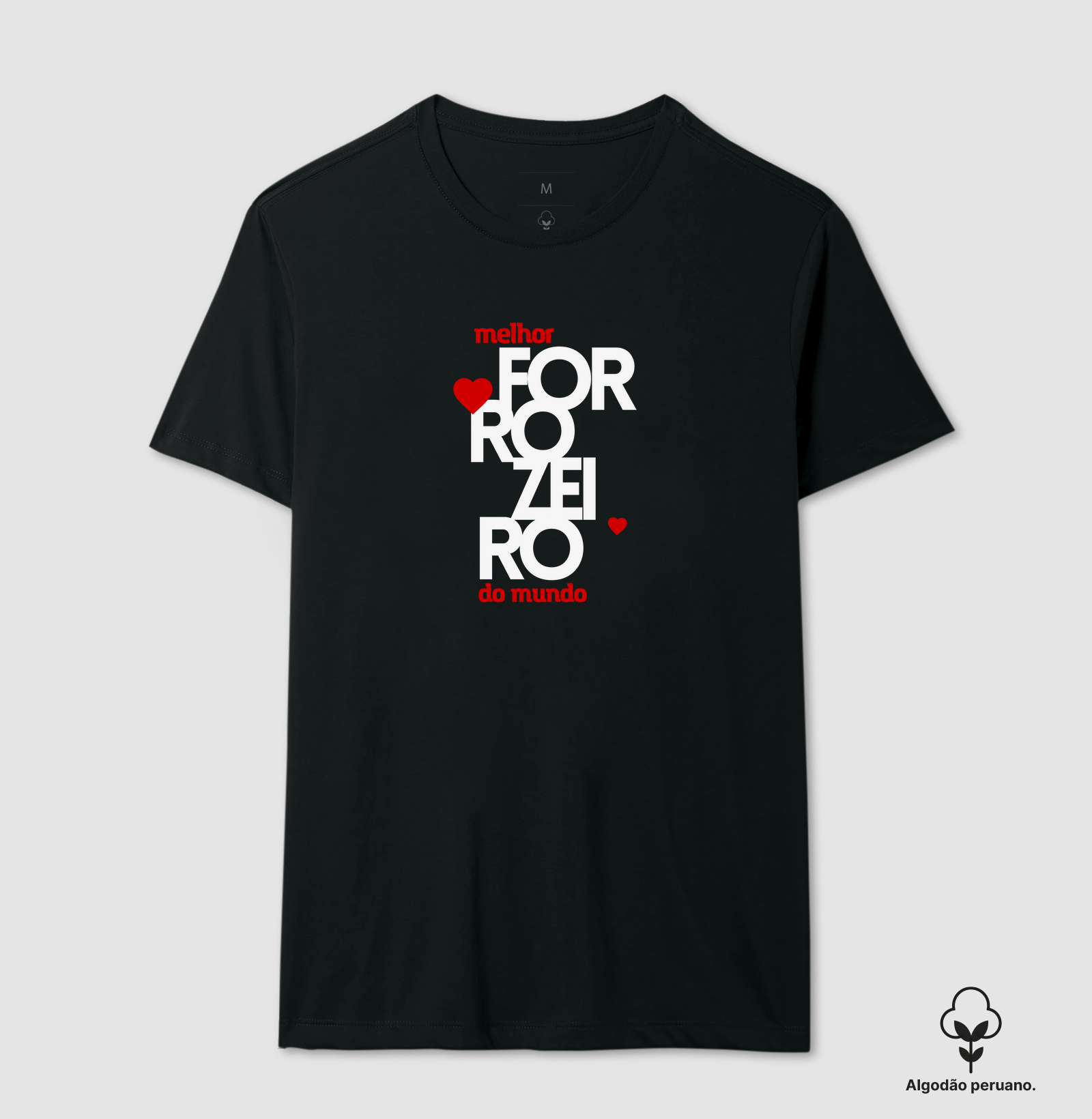 Melhor forrozeiro