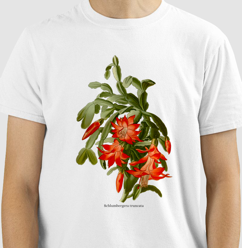 Camiseta Schlumbergera truncata