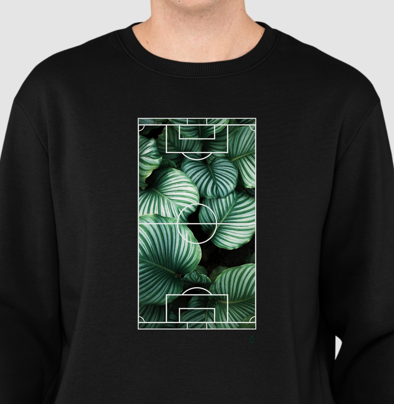Plantas em campo!