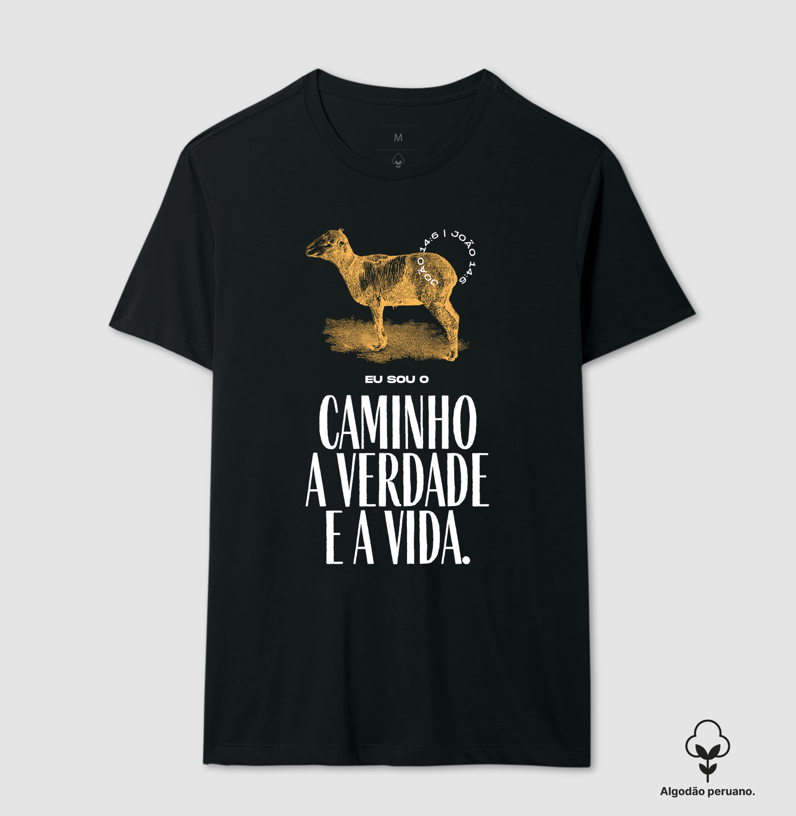 O Caminho e a Verdade