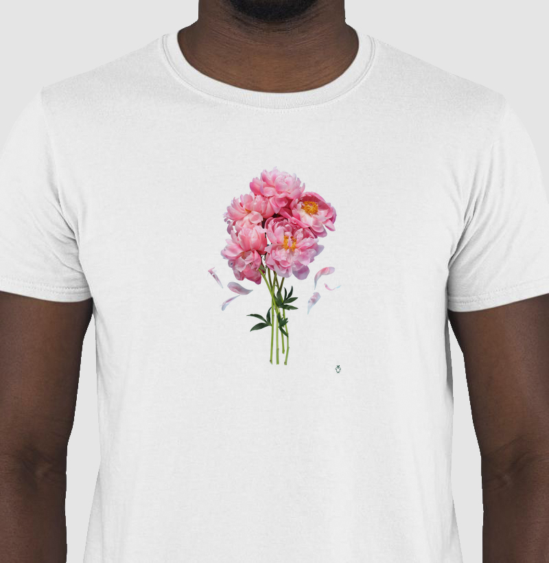 Coleção flores