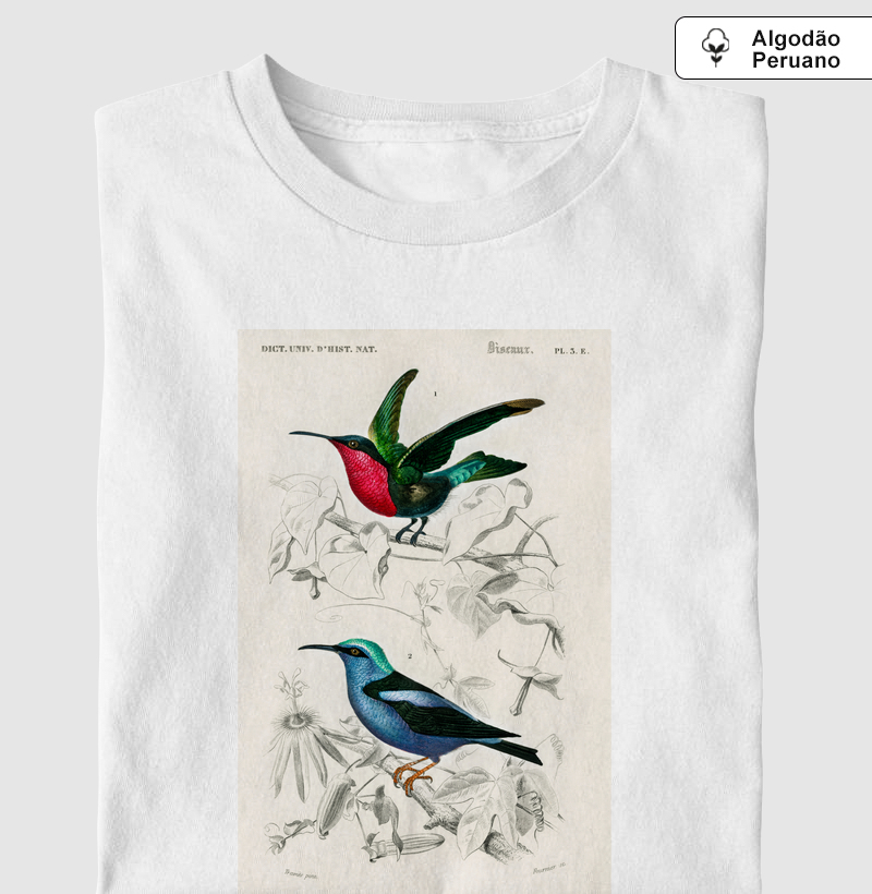 Colibri e Saíra-beija-flor