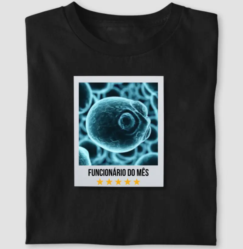 Funcionário do Mês