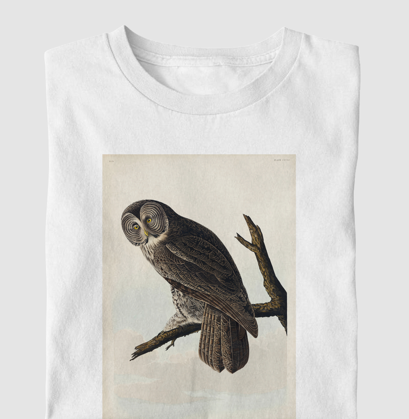 Great Cinereous Owl
