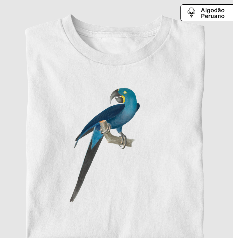 Arara-azul