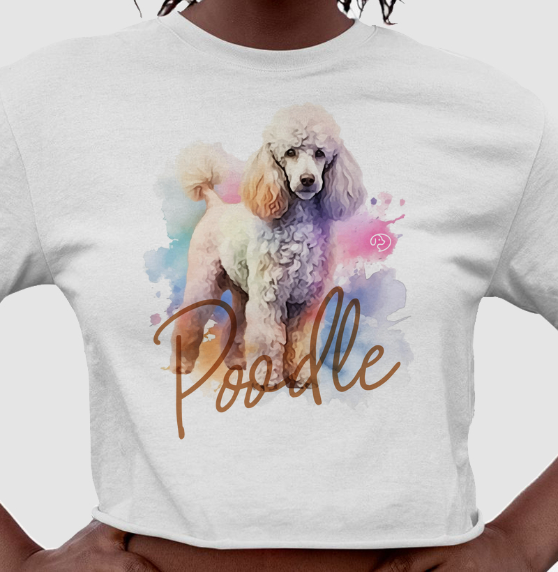 Poodle Splash