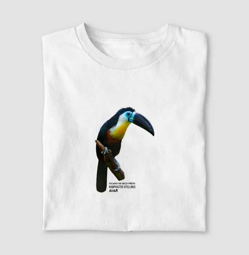 AVE TUCANO-DE-BICO-PRETO
