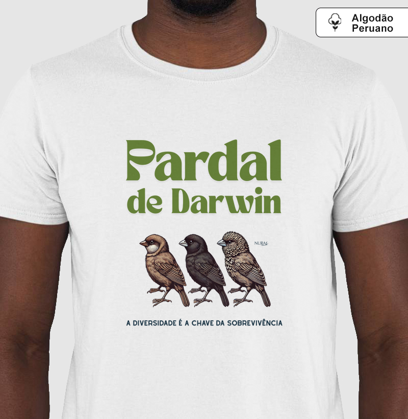 Pardal de Darwin