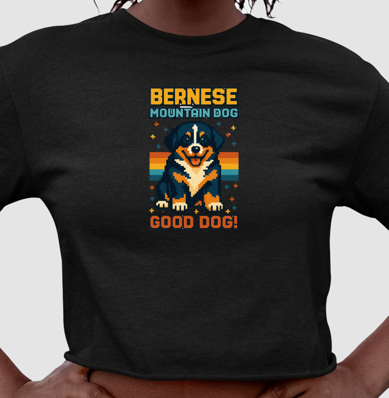 Bernese Mountain Dog