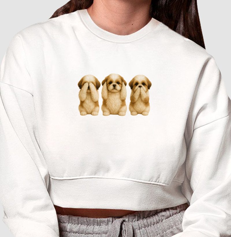 3 Shih Tzus Sábios