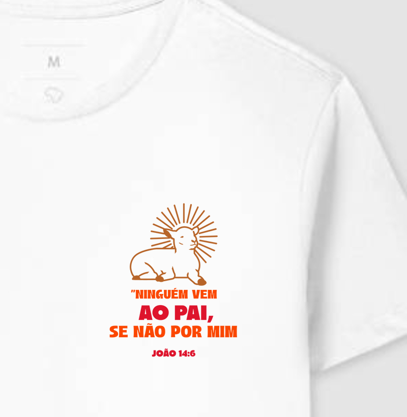 Ninguém vem ao Pai se não por mim