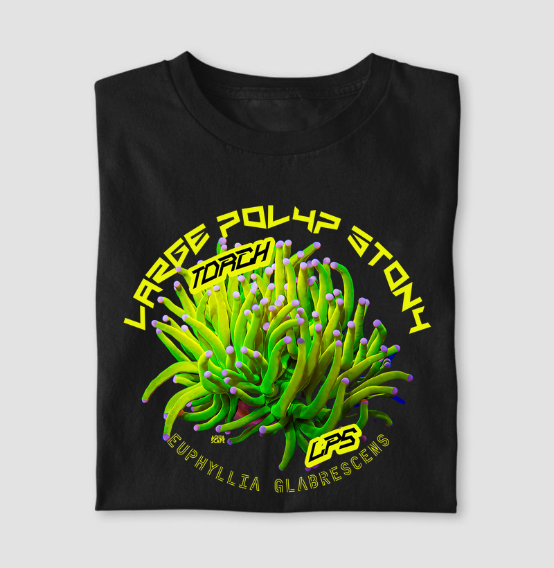 Coral LPS - Torch – Euphyllia glabrescens