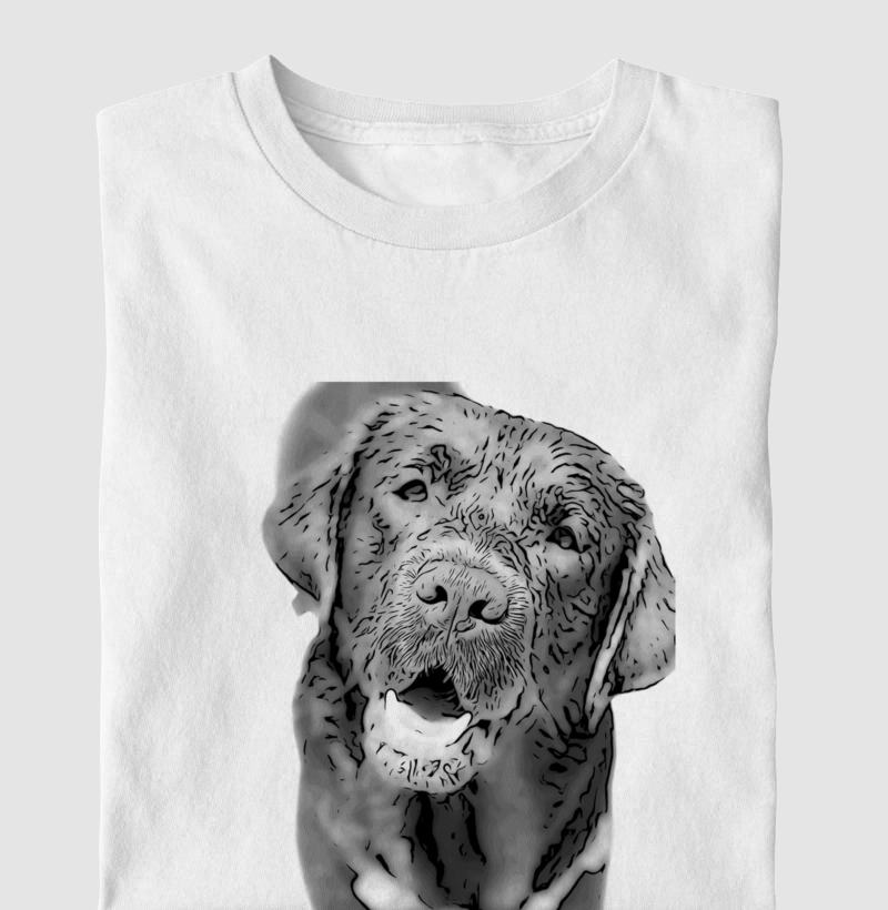 Camiseta/ fabuloso