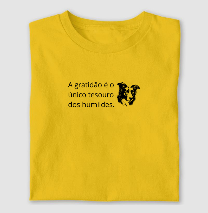 Camiseta Gratidão