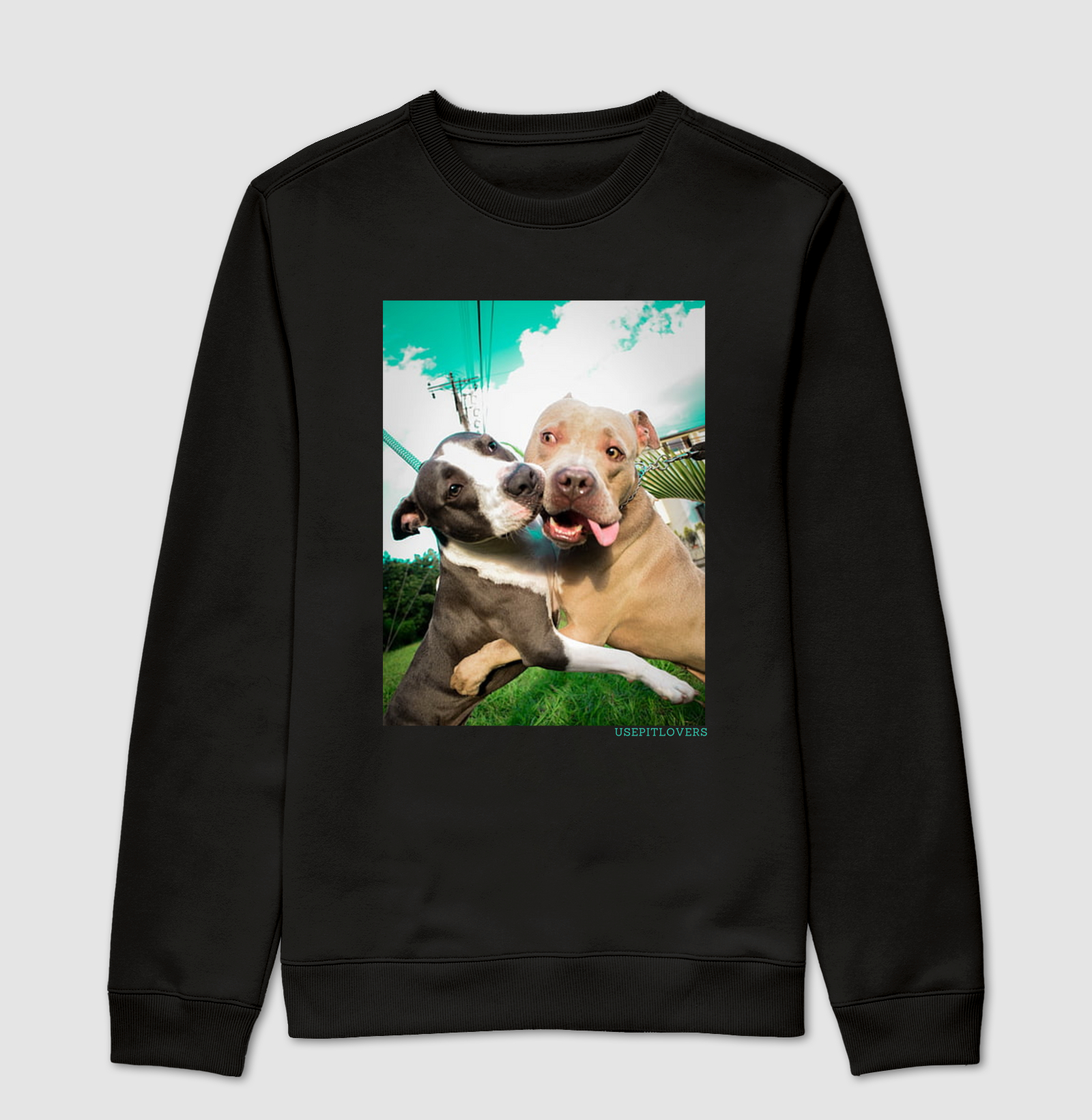 ABRAÇO DE PIT BULL