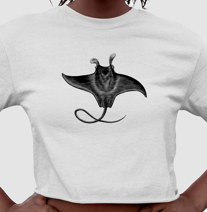 Mobula