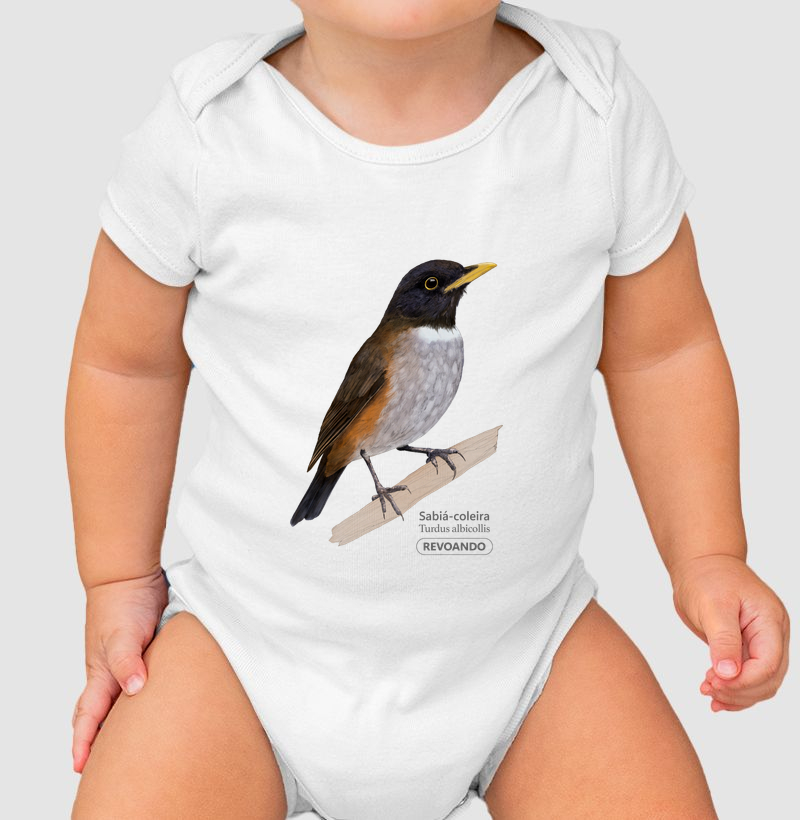 Aves do Brasil - Sabiá-coleira - Body Infantil