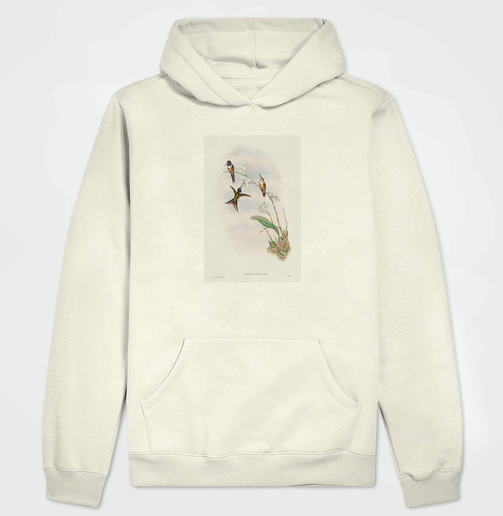 The family of hummingbirds