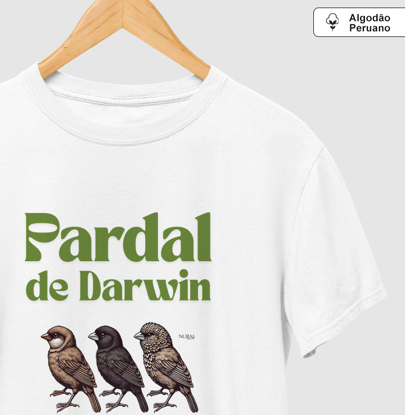 Pardal de Darwin