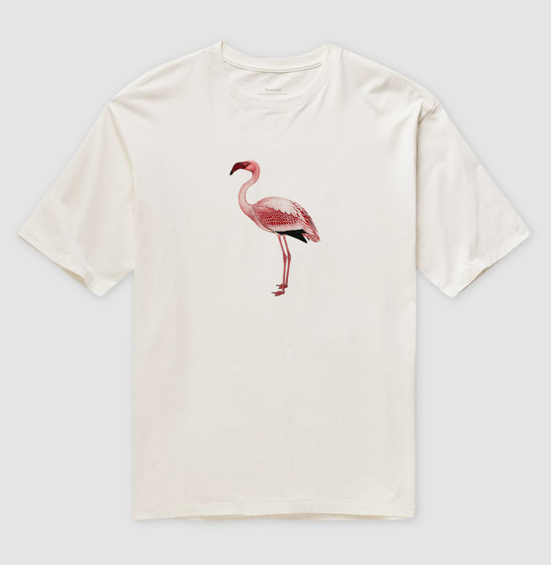 Lesser Flamingo