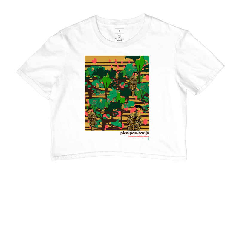 pica-pau-carijó_01