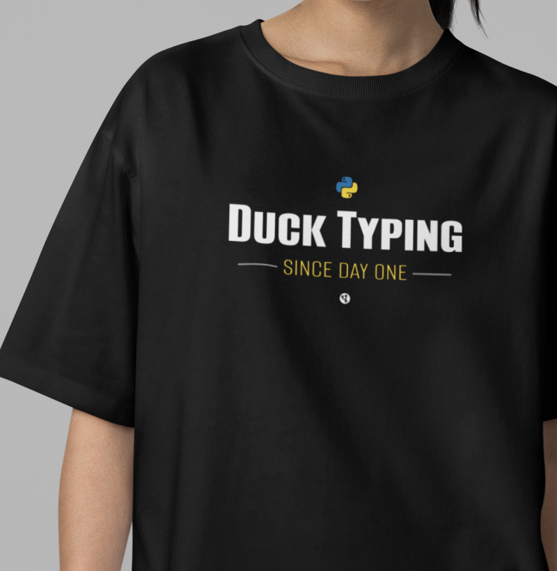Python Duck Typing