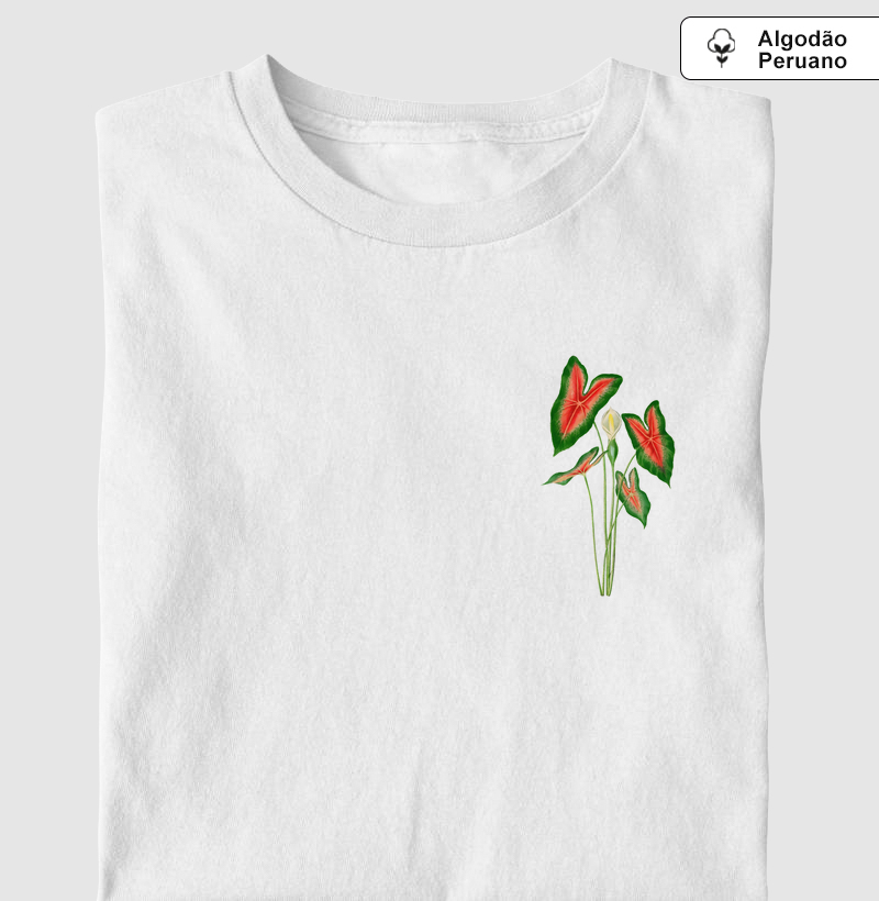 Caladium