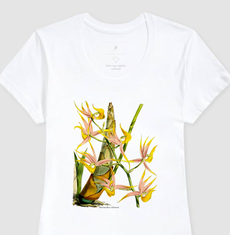 Camiseta Feminina Mormodes colossus
