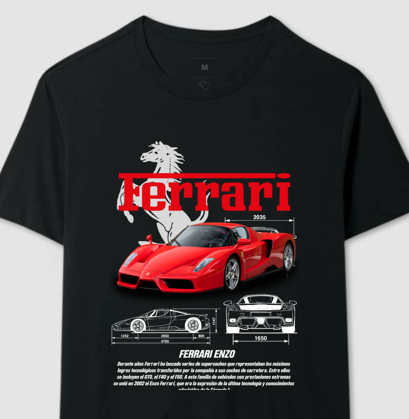 FERRARI ENZO STREET