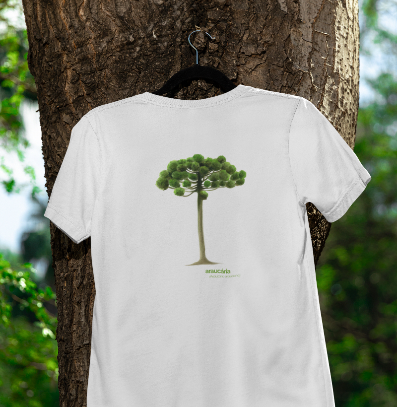 Araucária