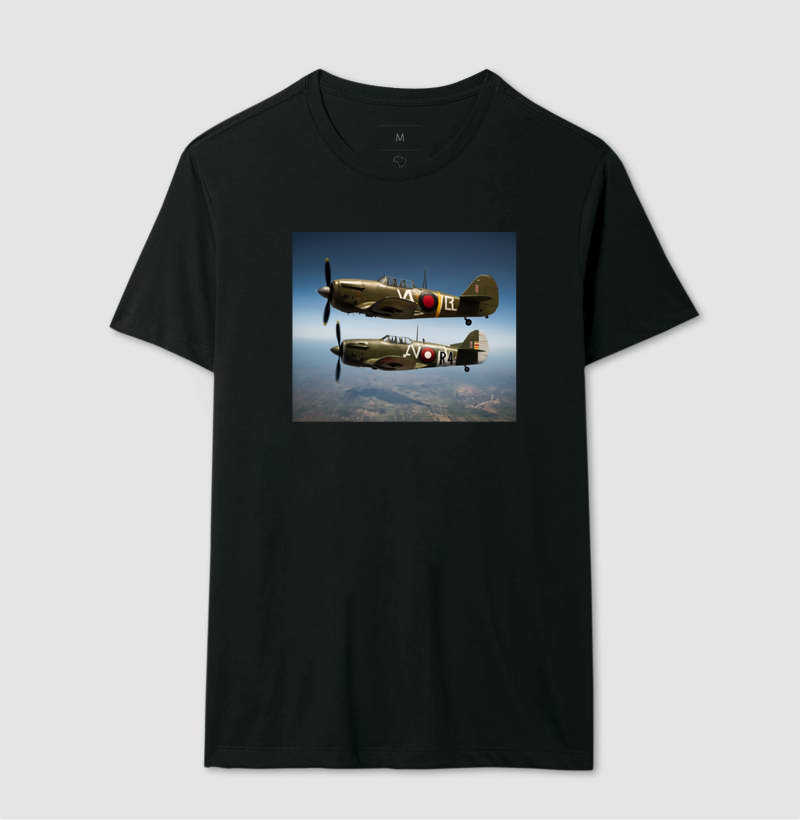 AVIÃO5