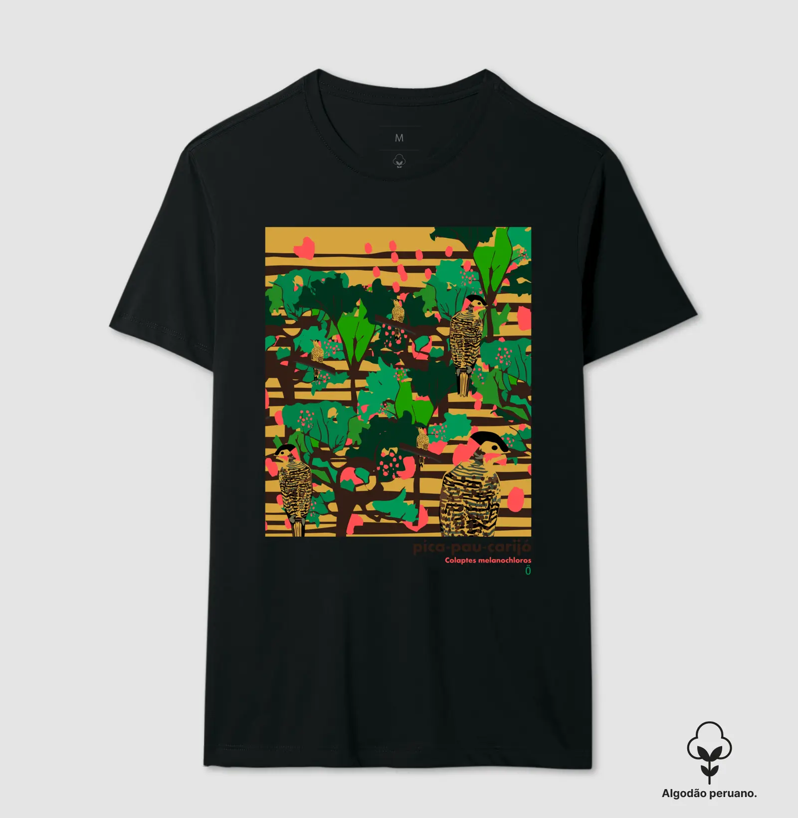 pica-pau-carijó_01