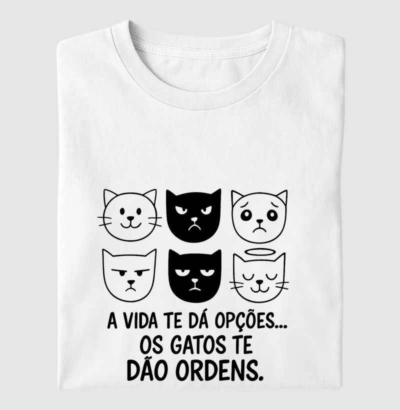 Gato-chefe