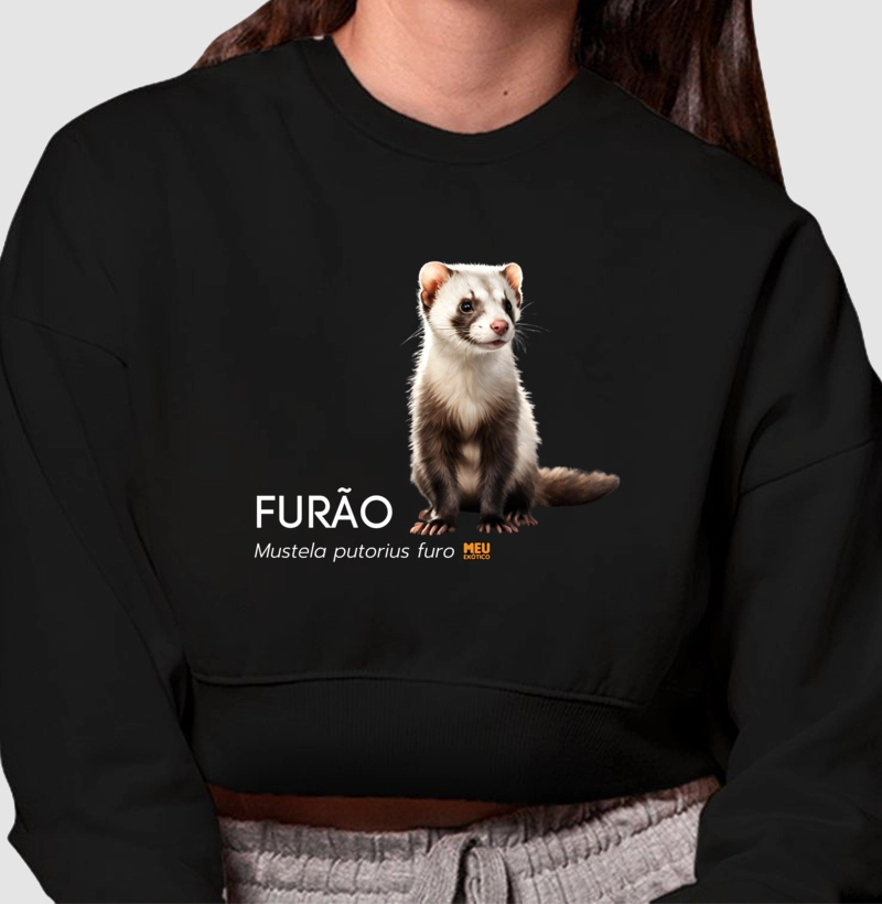 Furão II
