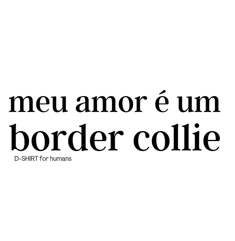 amor border collie