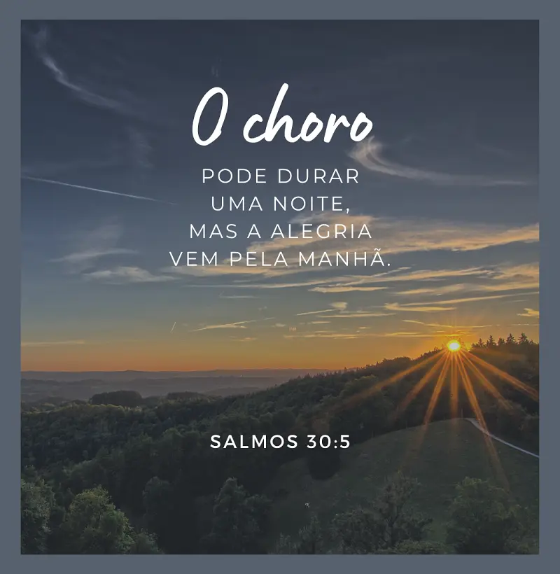 Camisetas Salmos