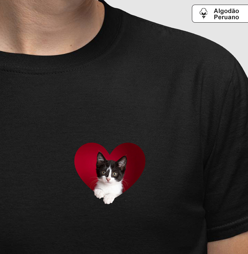 Meu Coração é Frajolinha