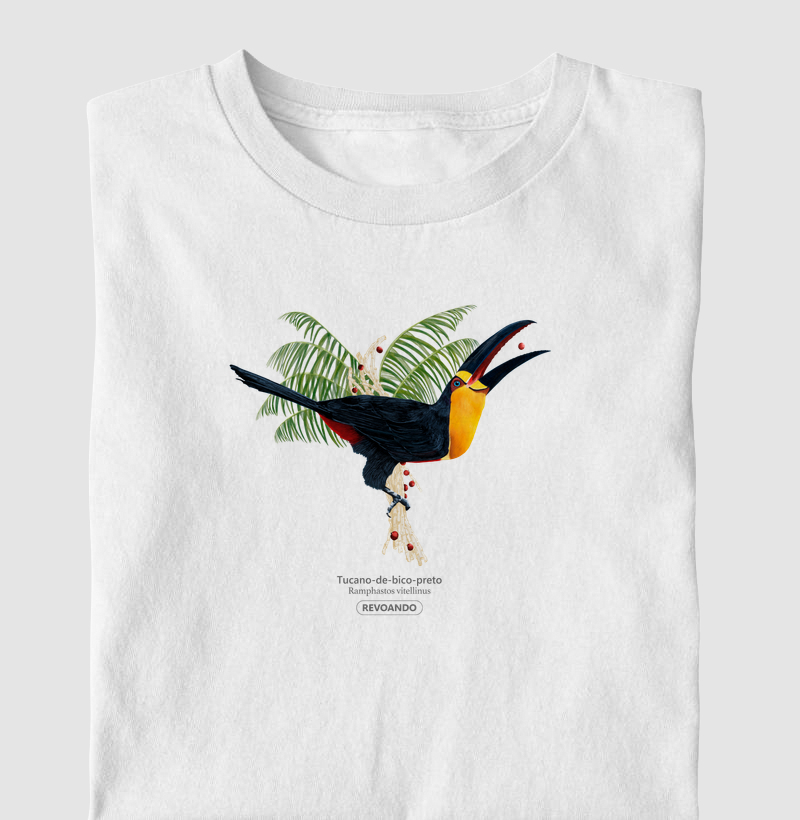 Aves do Brasil - Tucano-de-bico-preto