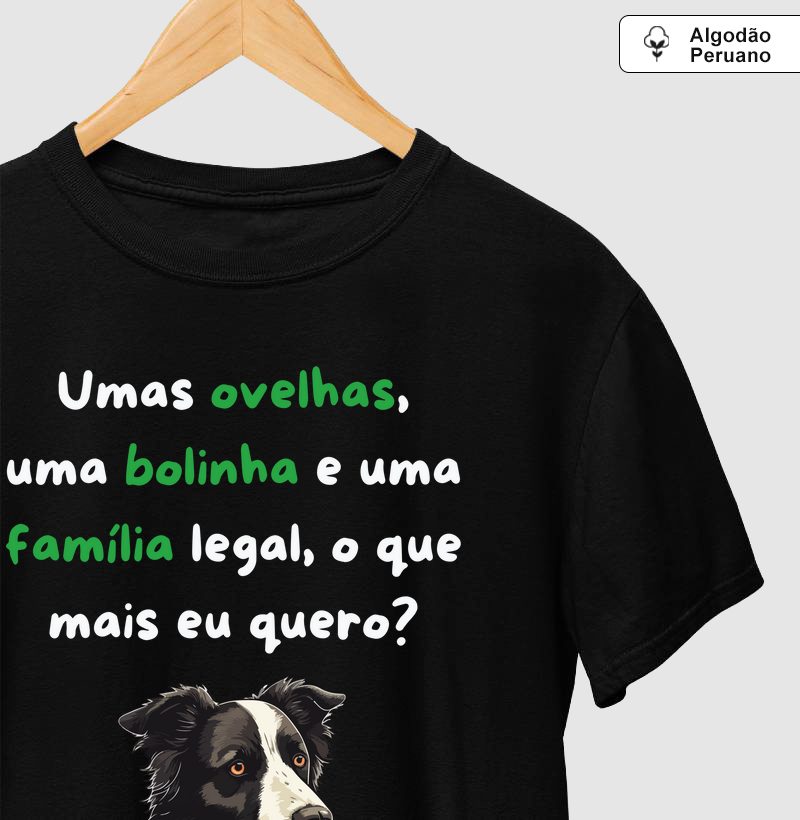 Ovelhas, bolinha e família