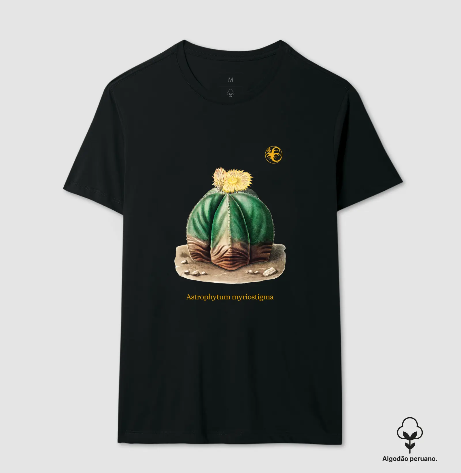 CACTUS IV