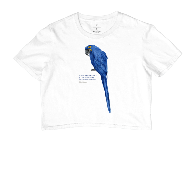 Arara Azul Cores