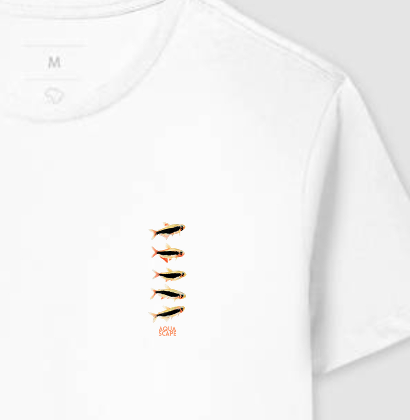 "Tetra Tucano" Tucanoichthys tucano - "Cardume Bolso"