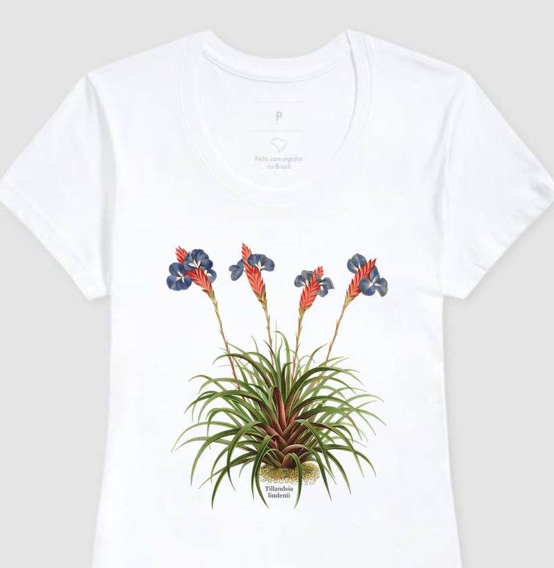 Camiseta Feminina Tillandsia lindenii