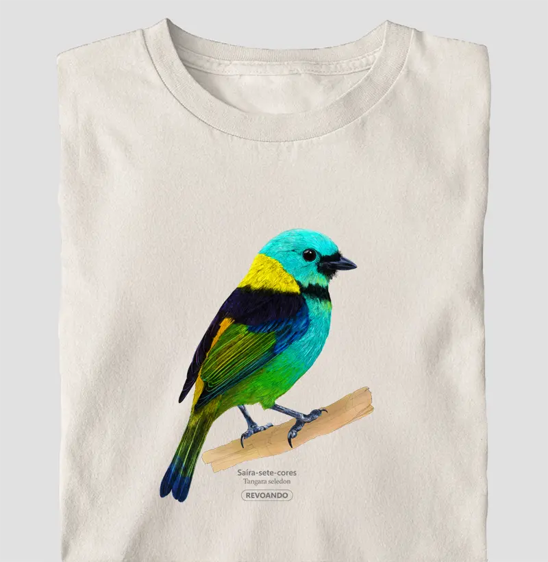 Aves do Brasil- Saíra-sete-cores - Oversized
