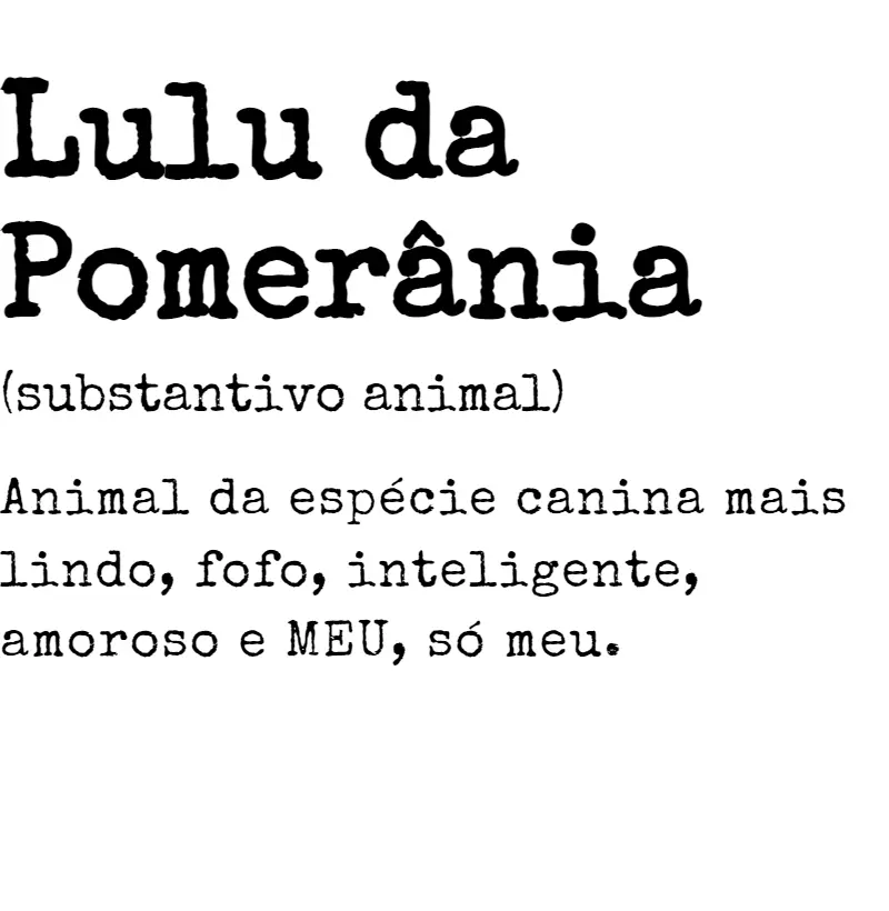 Lulu da Pomerânia s.a. 04