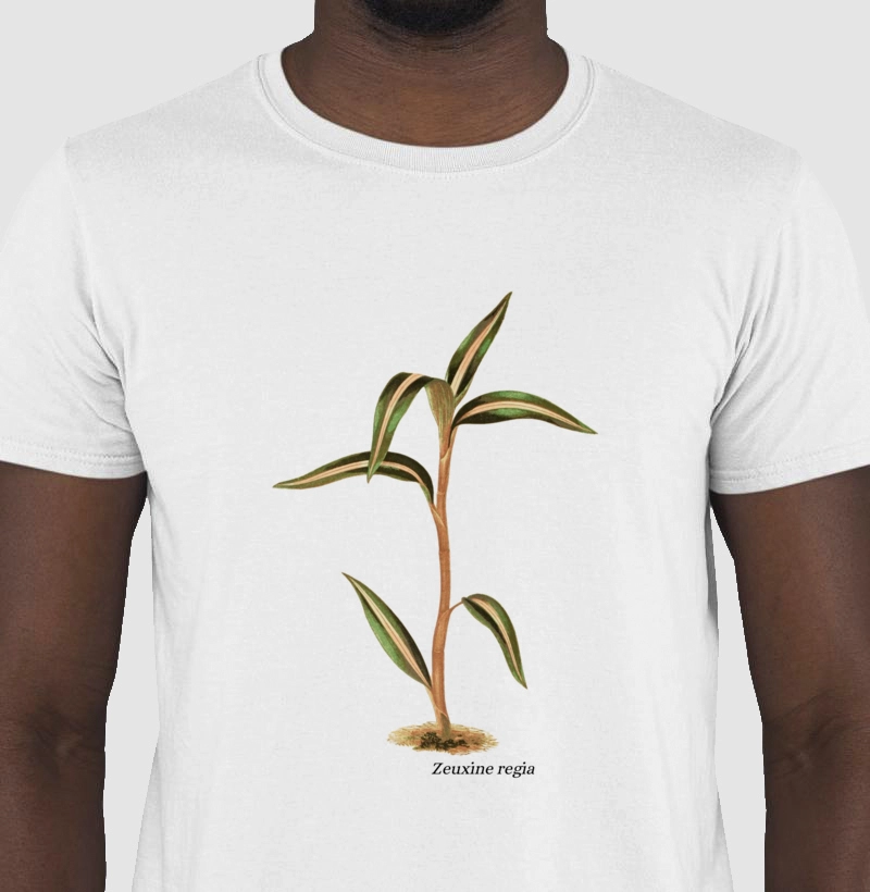 Camiseta Zeuxine regia
