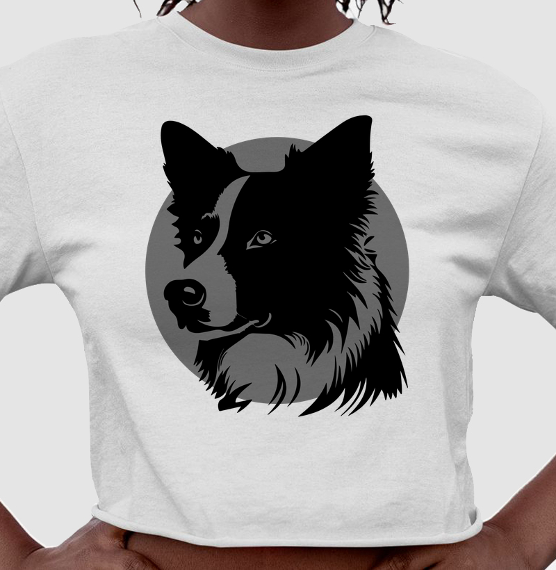 Border Collie fundo cinza