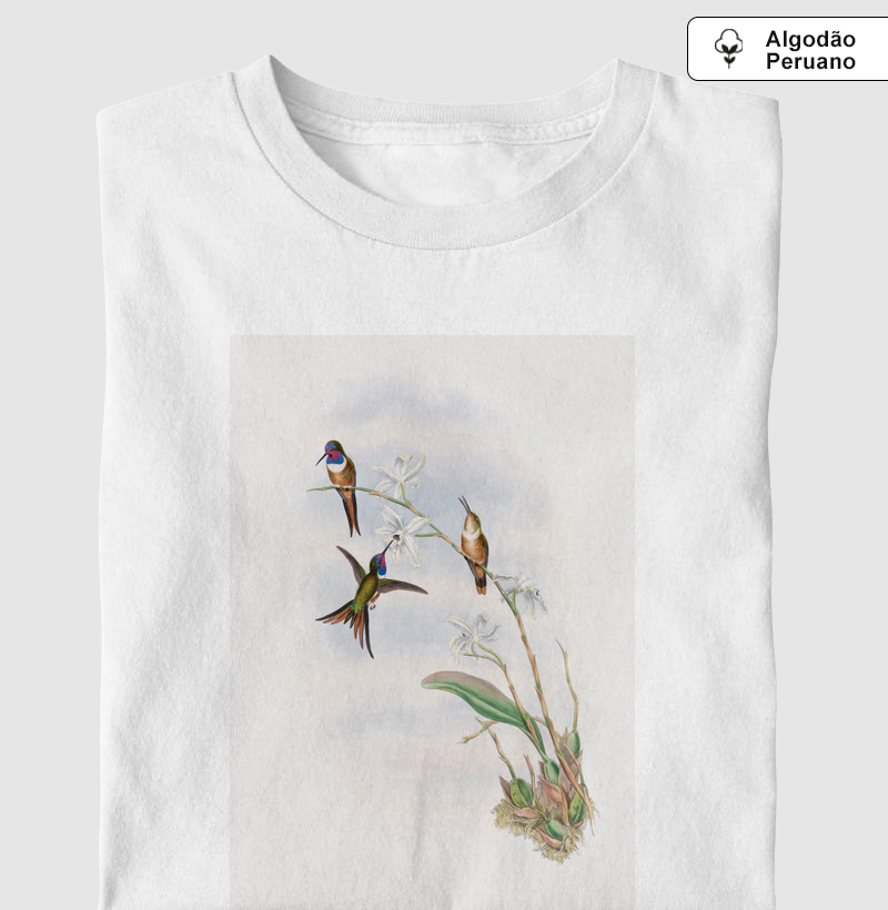 The family of hummingbirds